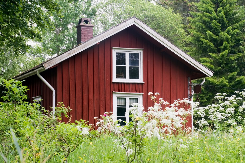 En röd stuga i ett skogsområde